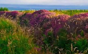 Heather Cottage Doolin